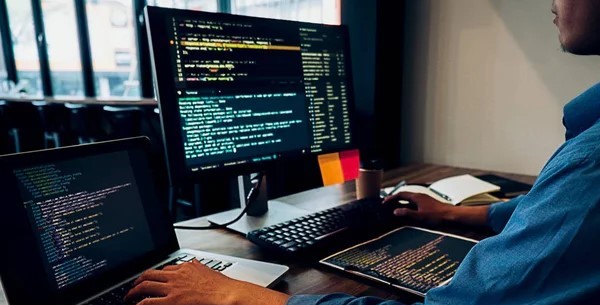 Software execution process illustration